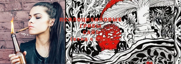 винт Козловка