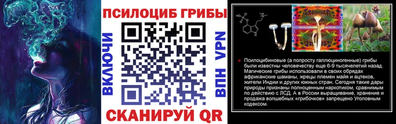 Псилоцибиновые грибы мицелий  Купить где  Великий Новгород 